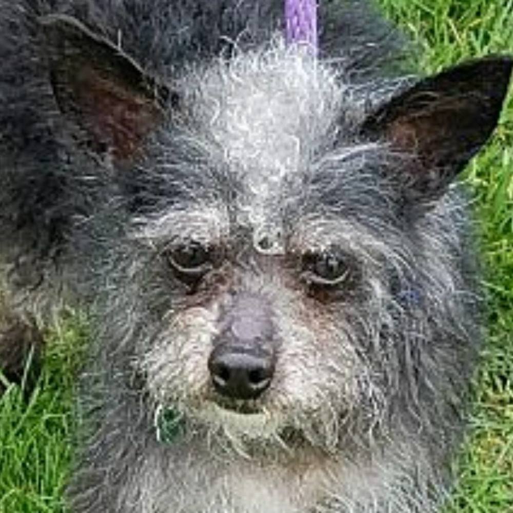 Meet your Posher, Vikki